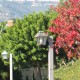 Fall red with lamps.11.30.11