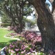 IMG_1452 IMG_1452