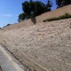 PCHPlanting PCHPlanting