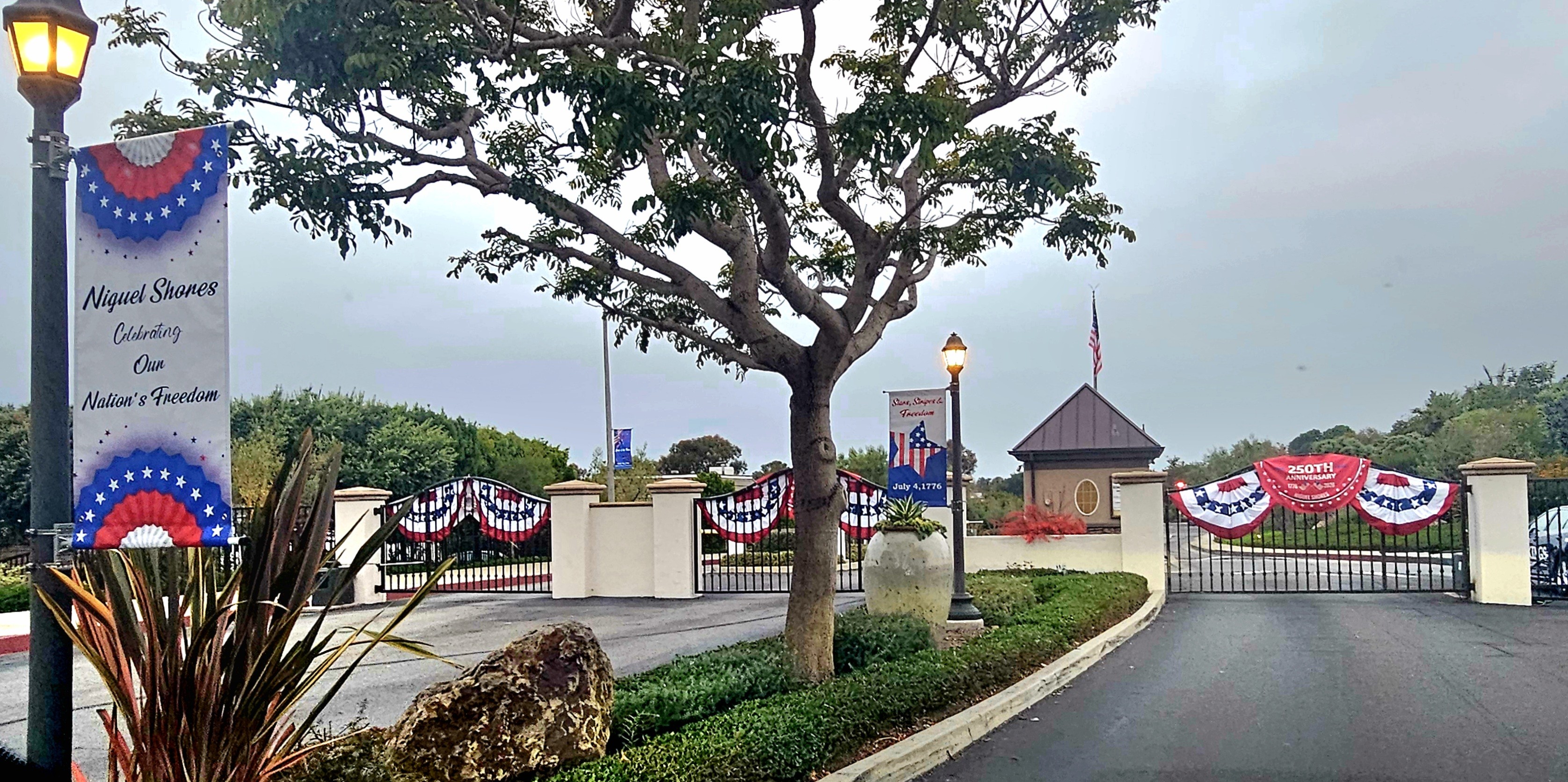 Homepage Photo