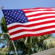 july-4-2011-001
