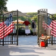 july-4-2011-004