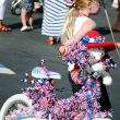 july-4-2011-058