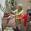 May Garden Tour Nadine shows Nancy and Peggy her clever downspout irrigation system