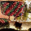 IMG_0033-1