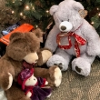 Toy Teddy Bears