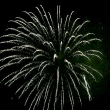 July 4 2014 -155