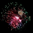 July 4 2014 258