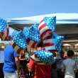 July 4 2014 453
