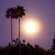 moonrise-2