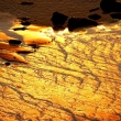 sunset-22