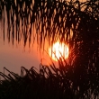 sunset-6