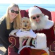 woman-dog-santa