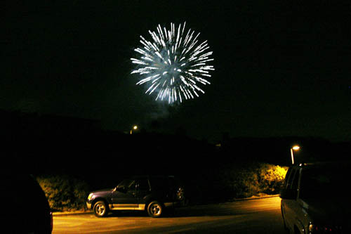 July 4, 2010 631
