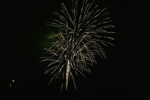 July 4, 2010 734