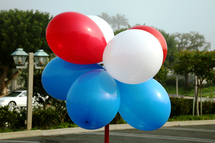 July 4, 2008 050