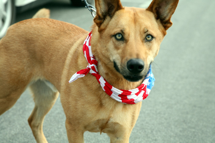 July 4, 2008 076