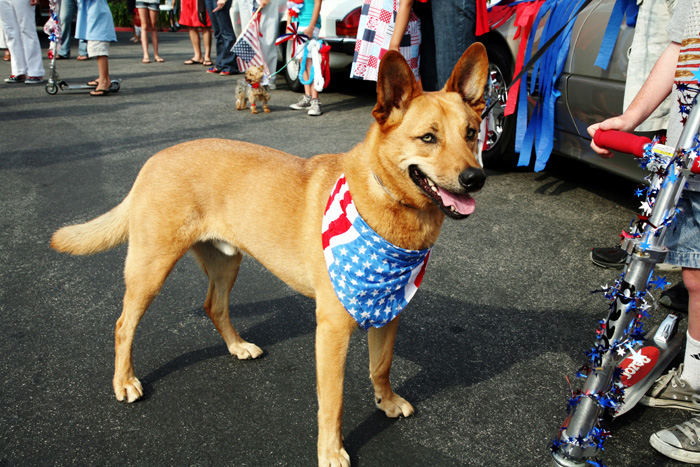 July 4, 2008 108