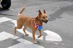 July 4, 2008 171