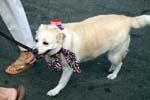 July 4, 2008 187