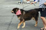 July 4, 2008 228