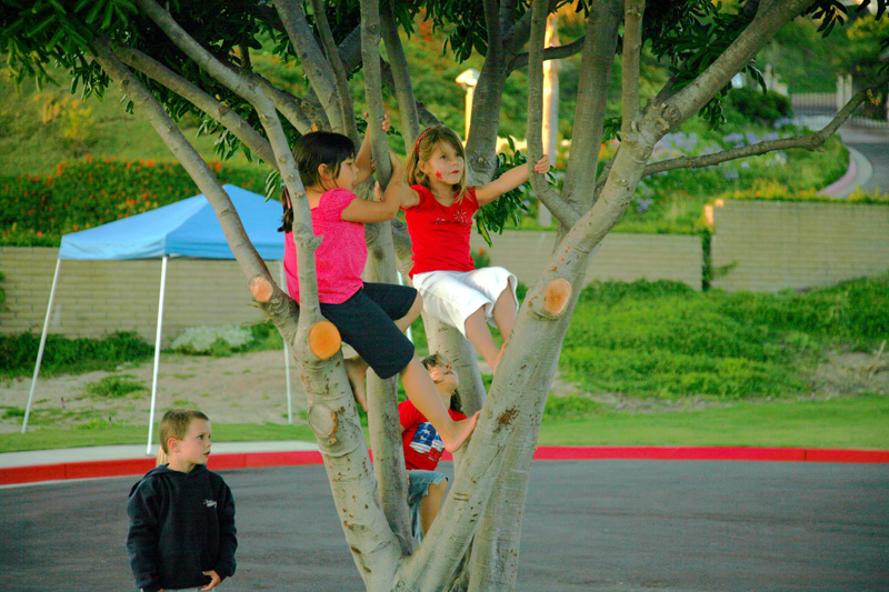 July 4, 2009 700