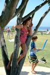 July 4, 2009 390