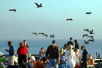 July 4, 2009 582